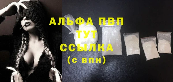 стаф Балахна