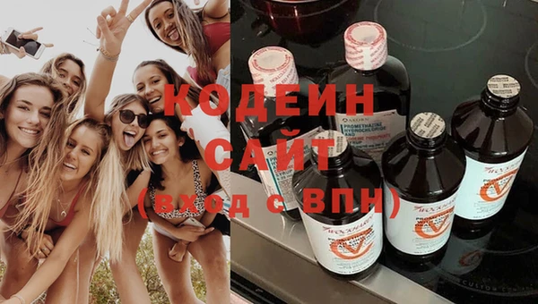стаф Балахна