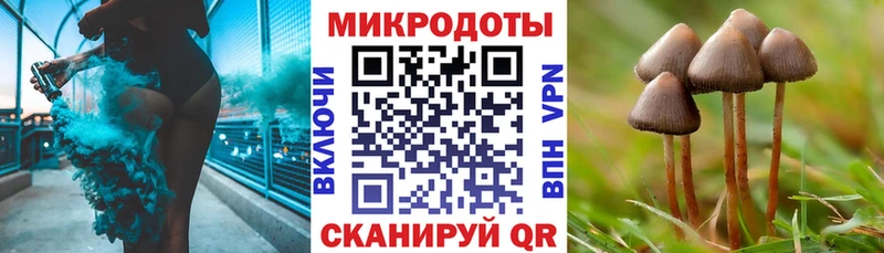 Псилоцибиновые грибы Magic Shrooms  Серафимович 